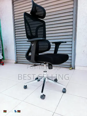 High Back Ergonomic Office Chair Favorable and Affordable