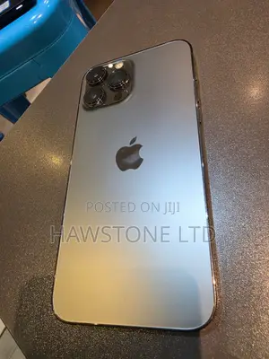 Apple iPhone 13 Pro Max 128 GB Gray