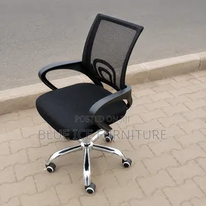 Executive Low Back Mesh Chair