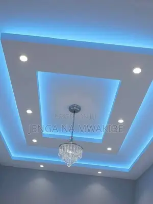 Blue Snaki Light Gypsum Ceiling Installation