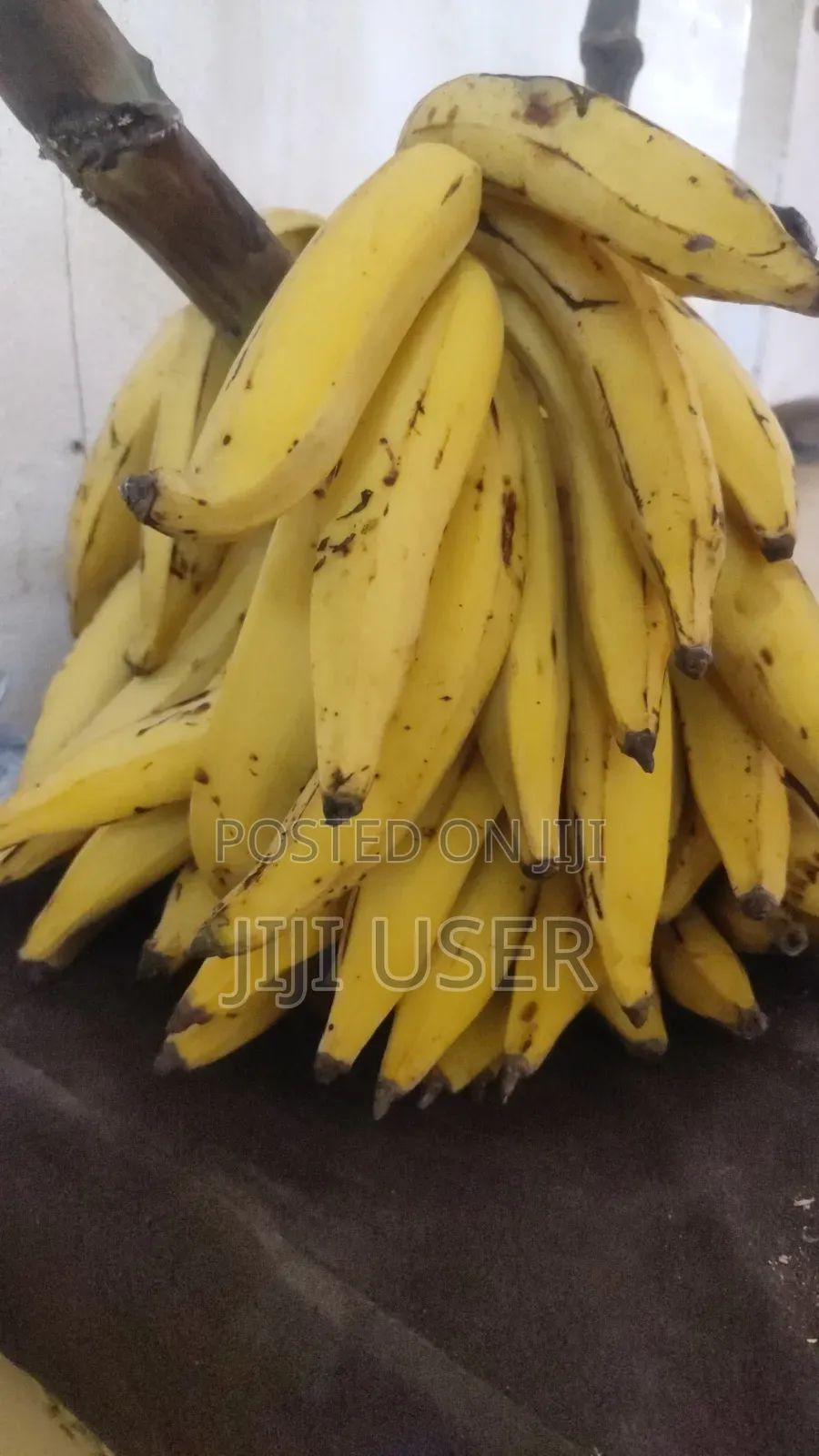 Raw Sweet Yummy Plantain