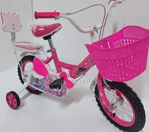 Girl's Bicycle Size 12