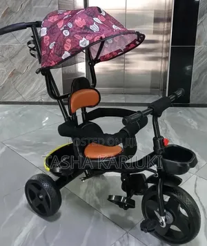 Tricycle With Canopy