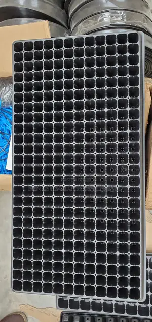 Seedling Trays 288 Holes