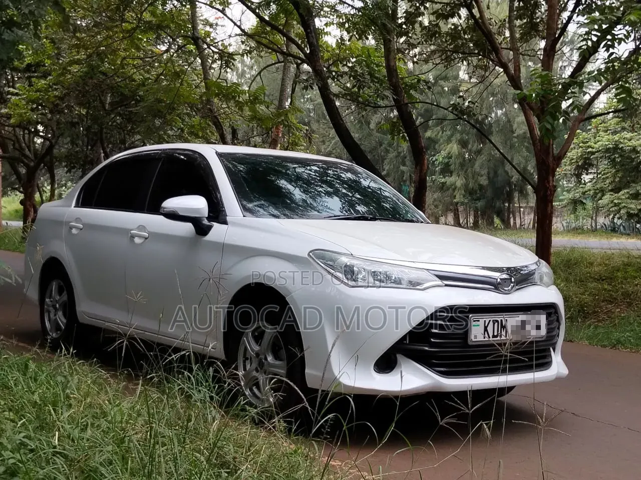 Toyota Axio 2016 White