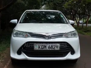 Toyota Axio 2016 White