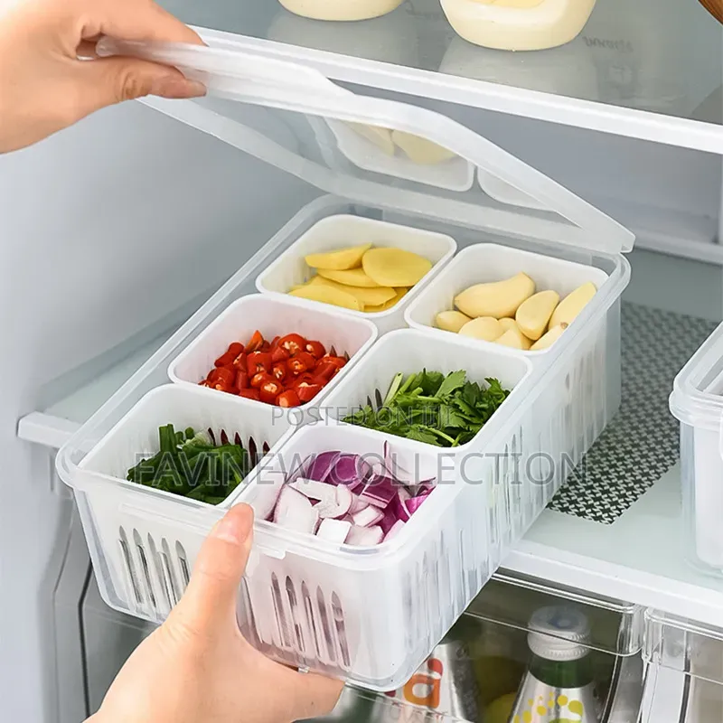 6 Grid Food Storage Container With Lid
