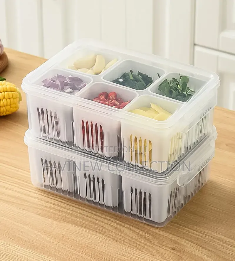 6 Grid Food Storage Container With Lid