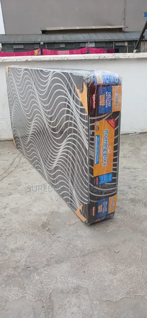 Morning Glory 3x6 6 Inch Plain Superfoam Mattress