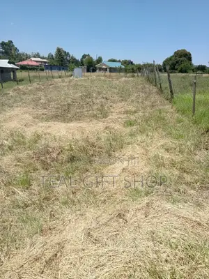 Land for Sale – Ngong (Kianugu, Off Oloolua Road Off Forest Line Rd)