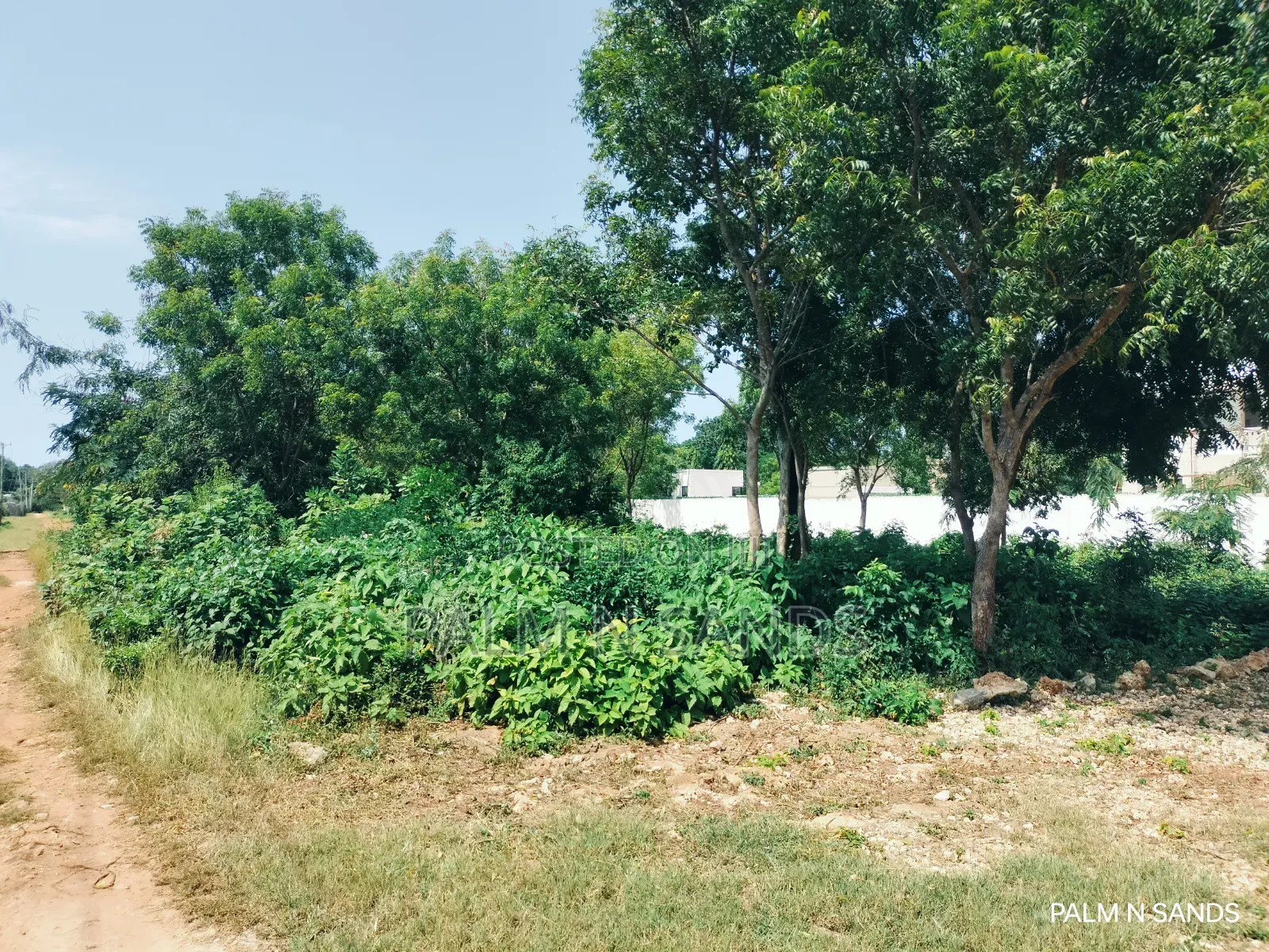 500sqm Plot in Galu Up for Sale!