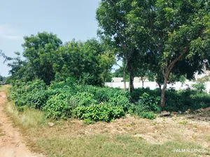 500sqm Plot in Galu Up for Sale!