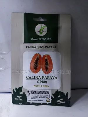 Calina Papaya Ipb9. Pawpaw Seeds 1gram. Approximate 60seeds