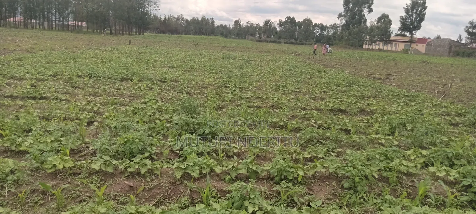 Plot for Sale