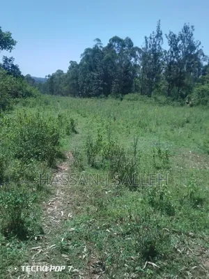 2acres Buchifi 4 SALE