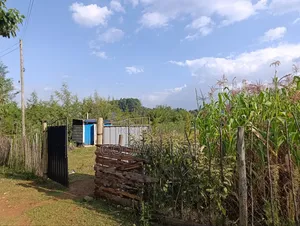 3 (1⁄8) for Sale in Kapsaret Lemook.