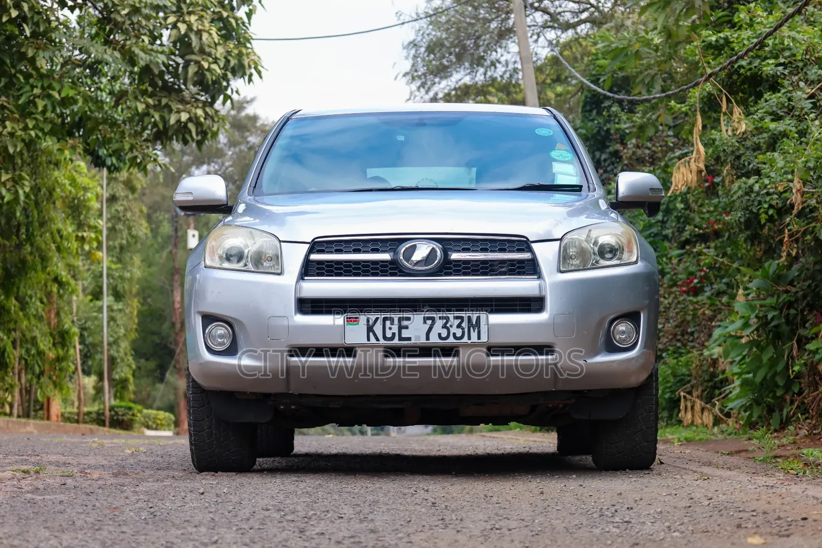 Toyota RAV4 2009 Silver