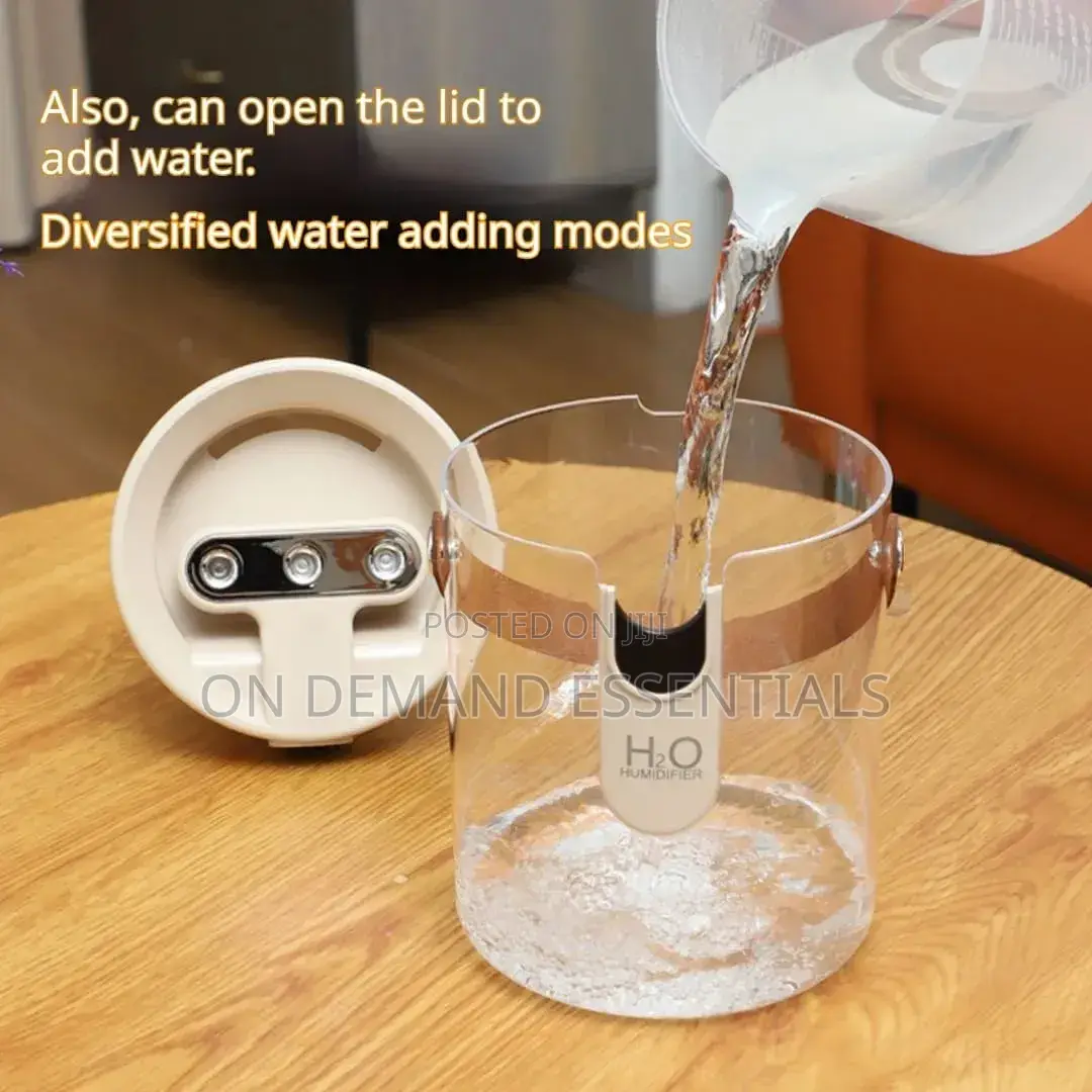 Portable Triple Misting Humidifier