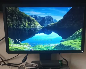 19" Dell Monitor