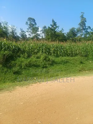 100fts by 100fts Plot 4 SALE.
