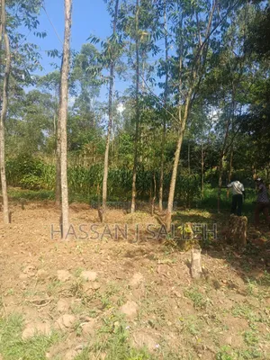 1/2 AN Acre Khwisero on Sale.