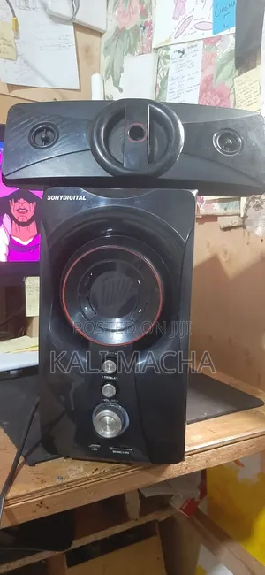 Sony Digital Woofer