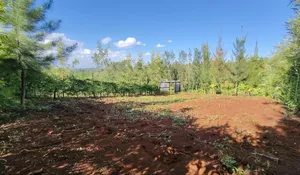 40*80 Plot in Kenol Kagaa