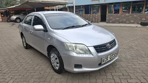 Toyota Axio 2009 Silver