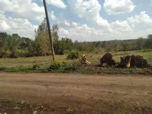 Residential Plot