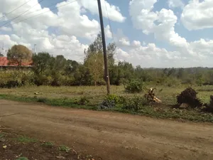 Residential Plot
