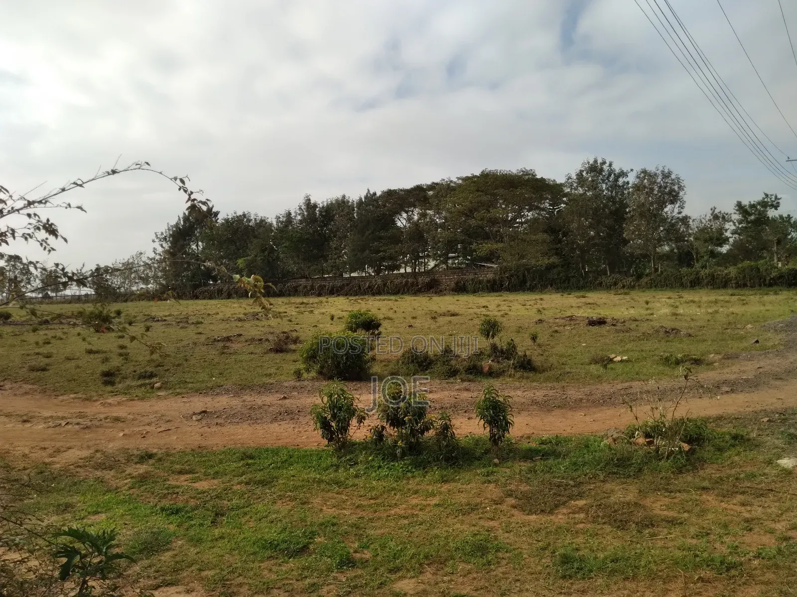 Residential Plot