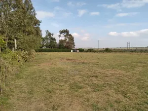 Residential Plot