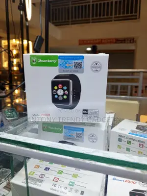 Smartberry W008 Touchscreen Smartwatch With Camera SIM