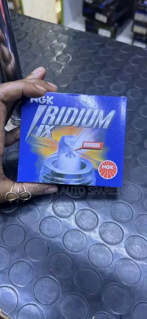 Sparkplug Iradium NGK