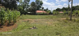 1⁄4 Plot for Sale in Ndovu Marura Carwash of Kimumu Dispensary Eldoret