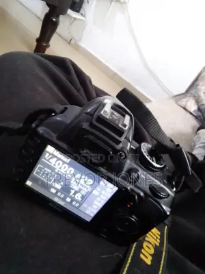 Clean Nikon D3100