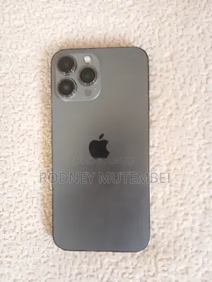 Apple iPhone 13 Pro Max 256 GB Gray