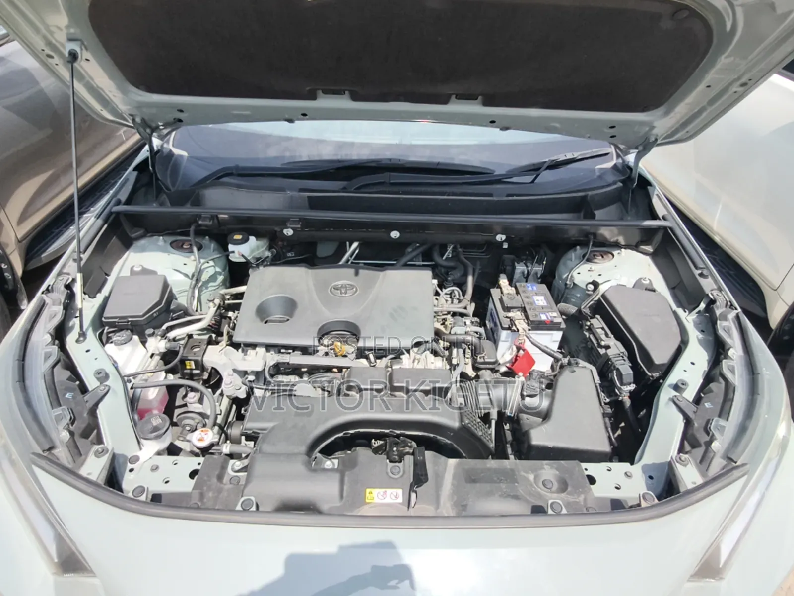 Toyota RAV4 2019 Green