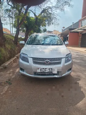 Toyota Corolla Fielder 2009 Silver