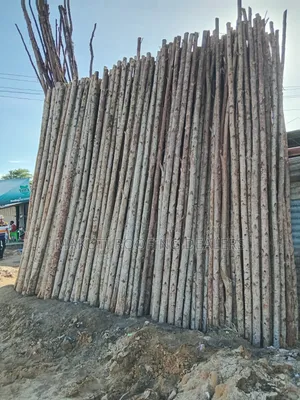 Gam Poles for Sale Mombasa