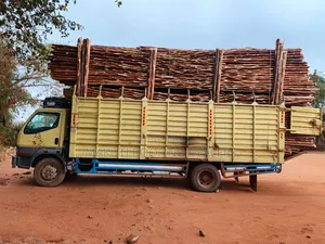 Sisal Poles Supplies and Delivery