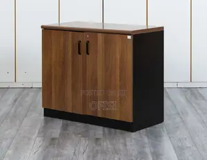 Office Cabinet; 2 Door Credenza Filing Cabinet
