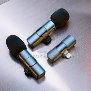 USB Rechargeable Mini Lapel Lavalier Dual Wireless Microphone