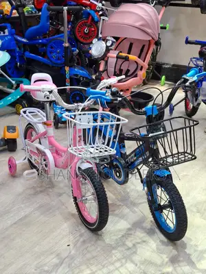 Beginner to Intermediate Kids Bicycle (Ages 2–5)