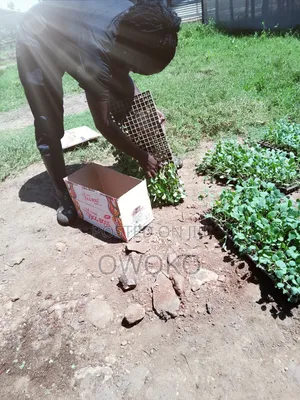 Smart Agriculture Teacher