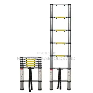 2M Telescopic Ladder