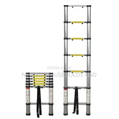 2M Telescopic Ladder