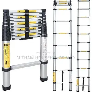 2M Telescopic Ladder