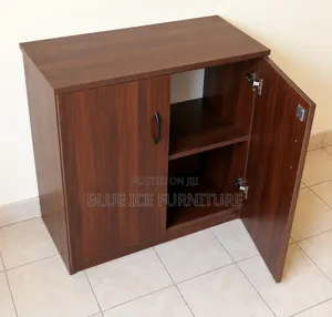 2 Door Office Storage Cabinet -Lockable Cabinet for Office