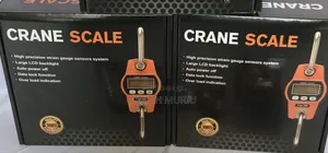 300kg Electronic Crane Weighing Scale